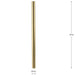Progress Lighting (2) 6 Inch And (1) 12 Inch Stem Brushed Gold (P8602-191)