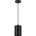 Progress Lighting 5 Inch 18.6W LED Cord Mount Cylinder Fixture (P550099-020-30)