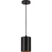 Progress Lighting 5 Inch 18.6W LED Cord Mount Cylinder Fixture (P550099-020-30)