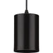 Progress Lighting 5 Inch 18.6W LED Cord Mount Cylinder Fixture (P550099-020-30)