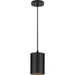 Progress Lighting 5 Inch 18.6W LED Cord Mount Cylinder Fixture (P550099-031-30)