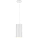 Progress Lighting 6 Inch 250W Cord Mount Cylinder Fixture (P500356-030)