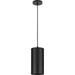 Progress Lighting 6 Inch 32W LED Cord Mount Cylinder Fixture (P550100-031-30)