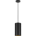 Progress Lighting 6 Inch 32W LED Cord Mount Cylinder Fixture (P550100-031-30)
