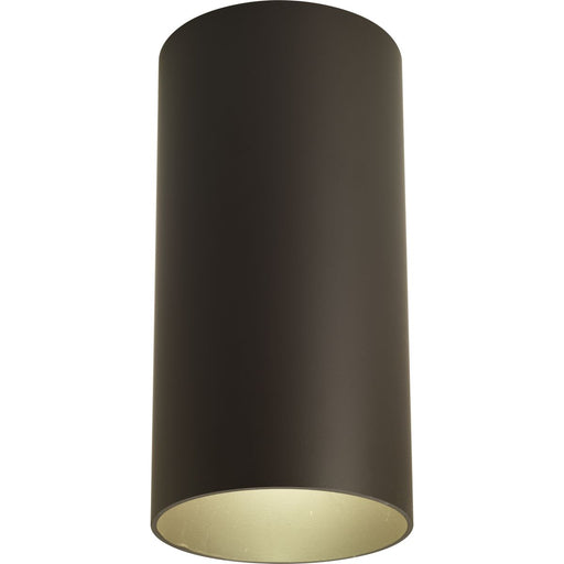 Progress Lighting 6 Inch Outdoor Ceiling Mount Cylinder (P5741-20)