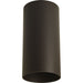 Progress Lighting 6 Inch Outdoor Ceiling Mount Cylinder (P5741-20)