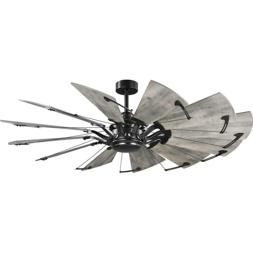 Progress Lighting 9425000031M Springer 60 Inch 12-Blade Ceiling Fan Matte Black (P250000-31M)