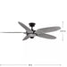 Progress Lighting 94250073182 Mesilla 60-Inch 5-Blade Ceiling Fan Flat Black (P250073-182)