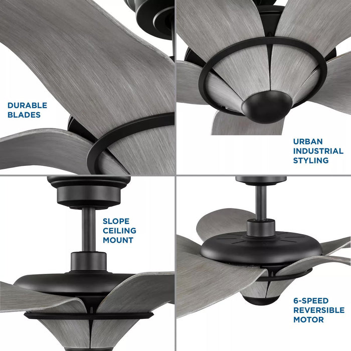 Progress Lighting 94250073182 Mesilla 60-Inch 5-Blade Ceiling Fan Flat Black (P250073-182)