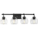 Progress Lighting 94300348143 Caisson 4 Light 60W Bath And Vanity Light Medium Base Graphite (P300348-143)
