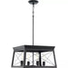 Progress Lighting 94400047031 Briarwood 4 Light 100W Chandelier Medium Base Textured Black (P400047-031)
