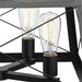 Progress Lighting 94400047031 Briarwood 4 Light 100W Chandelier Medium Base Textured Black (P400047-031)