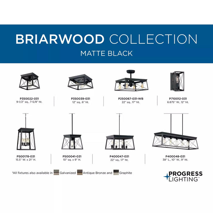 Progress Lighting 94400047031 Briarwood 4 Light 100W Chandelier Medium Base Textured Black (P400047-031)