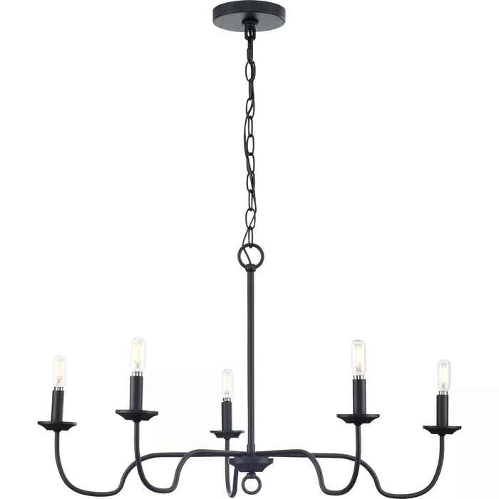 Progress Lighting 9440029131M Canebrake 5 Light 60W Chandelier Candelabra Base Matte Black (P400291-31M)