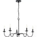 Progress Lighting 9440029131M Canebrake 5 Light 60W Chandelier Candelabra Base Matte Black (P400291-31M)