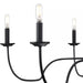 Progress Lighting 9440029231M Canebrake 6 Light 60W Chandelier Candelabra Base Matte Black (P400292-31M)