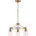 Progress Lighting 94400295109 Parkhurst 3 Light 60W Chandelier Medium Base Brushed Bronze (P400295-109)