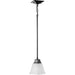Progress Lighting 9450012531M Clifton Heights 1 Light 100W Mini Pendant Medium Base Matte Black (P500125-31M)