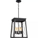 Progress Lighting 94500178031 Briarwood 4 Light 60W Hall And Foyer Light Medium Base Black (P500178-031)