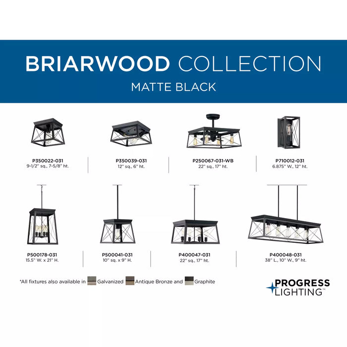 Progress Lighting 94500178031 Briarwood 4 Light 60W Hall And Foyer Light Medium Base Black (P500178-031)