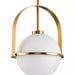 Progress Lighting 94500358109 Delayne 1 Light 100W Pendant Medium Base Brushed Bronze (P500358-109)