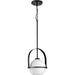Progress Lighting 9450035831M Delayne 1 Light 100W Pendant Medium Base Matte Black (P500358-31M)