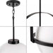 Progress Lighting 9450035931M Delayne 1 Light 100W Pendant Medium Base Matte Black (P500359-31M)