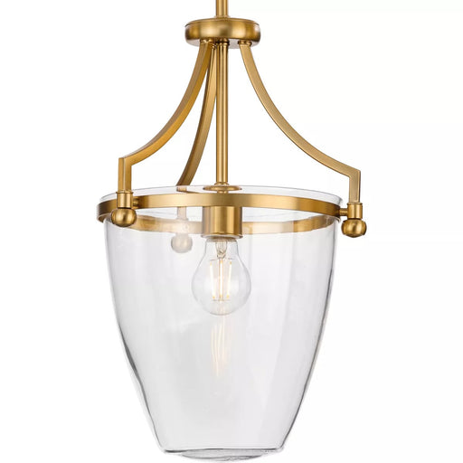 Progress Lighting 94500360109 Parkhurst 1 Light 60W Mini-Pendant Medium Base Brushed Bronze (P500360-109)