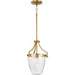 Progress Lighting 94500360109 Parkhurst 1 Light 60W Mini-Pendant Medium Base Brushed Bronze (P500360-109)