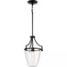 Progress Lighting 9450036031M Parkhurst 1 Light 60W Mini-Pendant Medium Base Matte Black (P500360-31M)