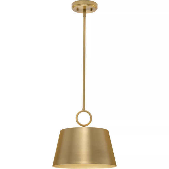 Progress Lighting 94500367109 Parkhurst 60W Pendant Medium Base Brushed Bronze (P500367-109)