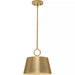 Progress Lighting 94500367109 Parkhurst 60W Pendant Medium Base Brushed Bronze (P500367-109)