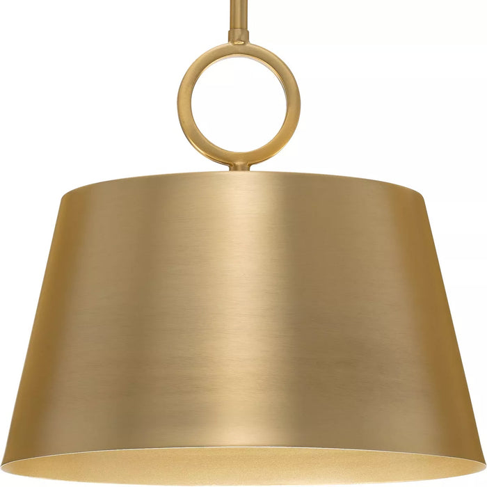 Progress Lighting 94500367109 Parkhurst 60W Pendant Medium Base Brushed Bronze (P500367-109)