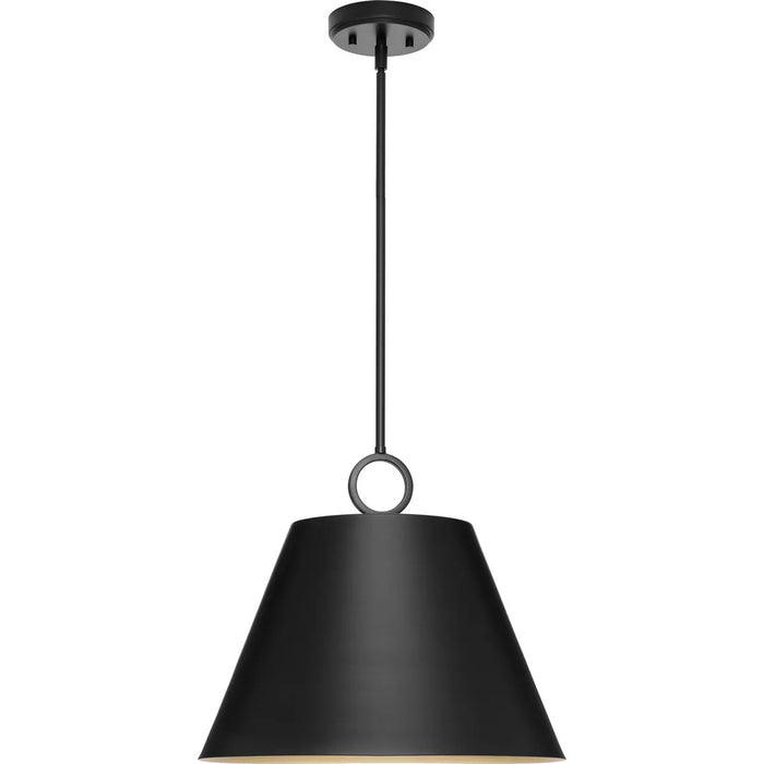 Progress Lighting 9450036831M Parkhurst 3 Light 60W Pendant Medium Base Matte Black (P500368-31M)