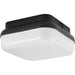 Progress Lighting 9455011503130 Hard Nox 1 Light 25W Outdoor Flush Mount Black (P550115-031-30)