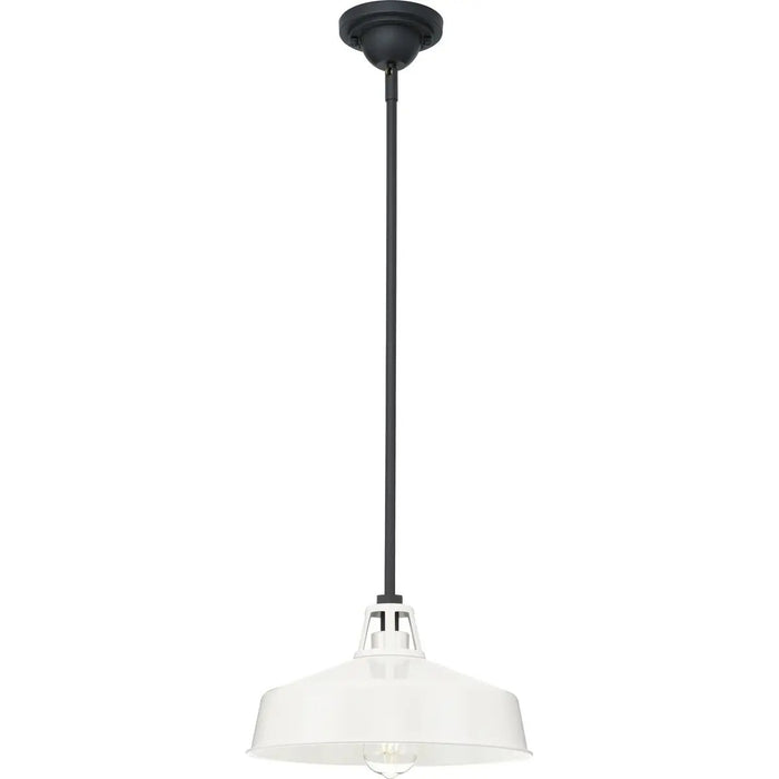 Progress Lighting 94550116030 Cedar Springs 1 Light 100W Outdoor Pendant Medium Base White (P550116-030)