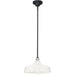 Progress Lighting 94550116030 Cedar Springs 1 Light 100W Outdoor Pendant Medium Base White (P550116-030)