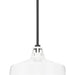 Progress Lighting 94550116030 Cedar Springs 1 Light 100W Outdoor Pendant Medium Base White (P550116-030)