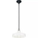 Progress Lighting 94550116030 Cedar Springs 1 Light 100W Outdoor Pendant Medium Base White (P550116-030)