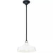 Progress Lighting 94550116030 Cedar Springs 1 Light 100W Outdoor Pendant Medium Base White (P550116-030)