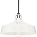 Progress Lighting 94550116030 Cedar Springs 1 Light 100W Outdoor Pendant Medium Base White (P550116-030)