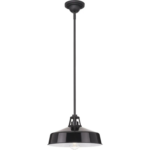 Progress Lighting 94550116031 Cedar Springs 1 Light 100W Outdoor Pendant Medium Base Black (P550116-031)
