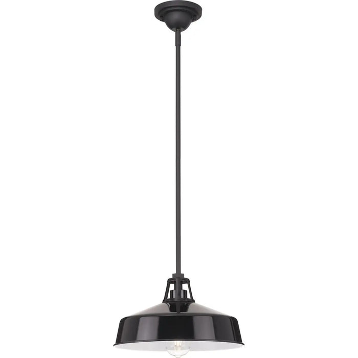 Progress Lighting 94550116031 Cedar Springs 1 Light 100W Outdoor Pendant Medium Base Black (P550116-031)