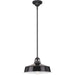 Progress Lighting 94550116031 Cedar Springs 1 Light 100W Outdoor Pendant Medium Base Black (P550116-031)