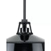 Progress Lighting 94550116031 Cedar Springs 1 Light 100W Outdoor Pendant Medium Base Black (P550116-031)