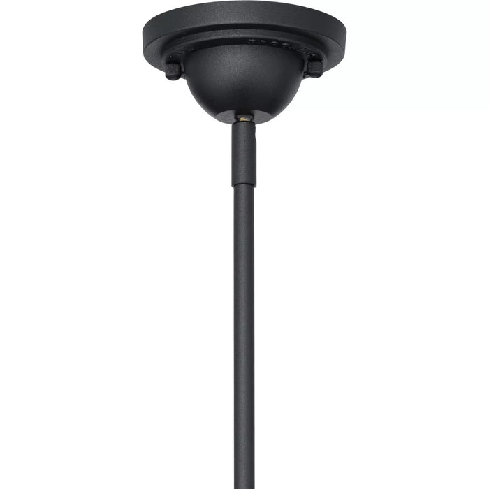 Progress Lighting 94550116031 Cedar Springs 1 Light 100W Outdoor Pendant Medium Base Black (P550116-031)
