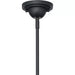 Progress Lighting 94550116031 Cedar Springs 1 Light 100W Outdoor Pendant Medium Base Black (P550116-031)