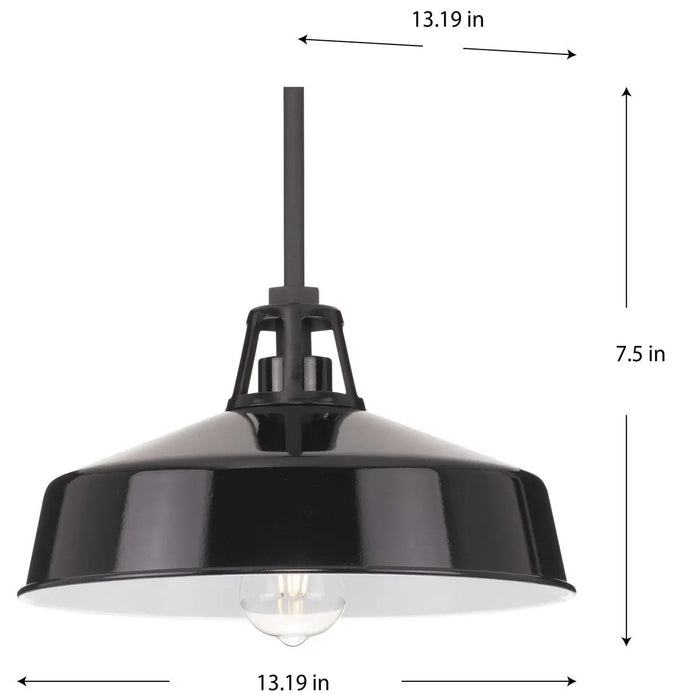 Progress Lighting 94550116031 Cedar Springs 1 Light 100W Outdoor Pendant Medium Base Black (P550116-031)