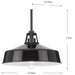 Progress Lighting 94550116031 Cedar Springs 1 Light 100W Outdoor Pendant Medium Base Black (P550116-031)