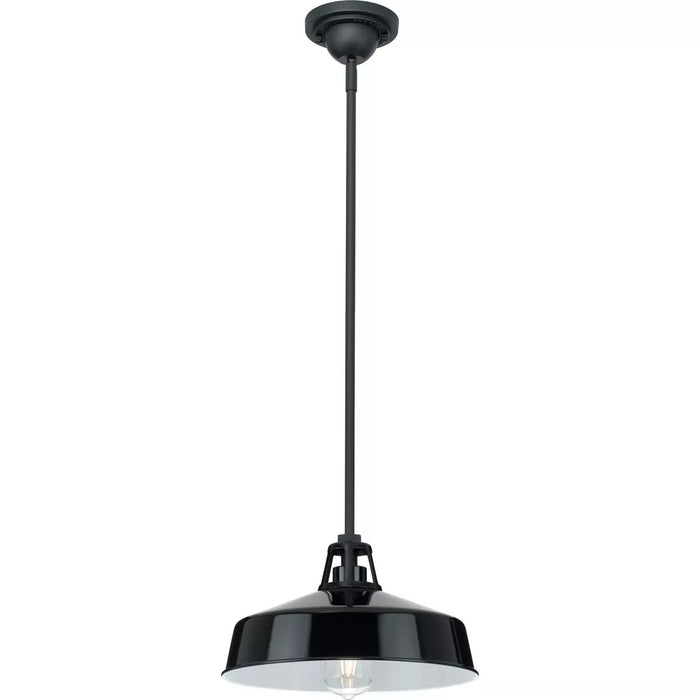 Progress Lighting 94550116031 Cedar Springs 1 Light 100W Outdoor Pendant Medium Base Black (P550116-031)